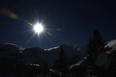 DSC_4928 (Large).JPG